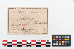 Etikett zu Bronzegehänge (NHMW-PRAE-025184)